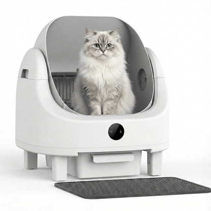 HBZH-ICB-20 Open-Top Smart Cat Litter Box | App-Controlled & Large Capacity (US/EU Stock) - HEYBO